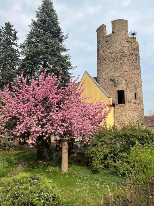 La Jolie Maison Bleue, Au Coeur De L'Alsace Kaysersberg-Vignoble Exterior foto