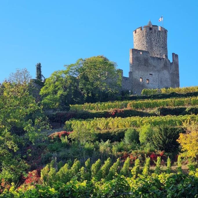 La Jolie Maison Bleue, Au Coeur De L'Alsace Kaysersberg-Vignoble Exterior foto