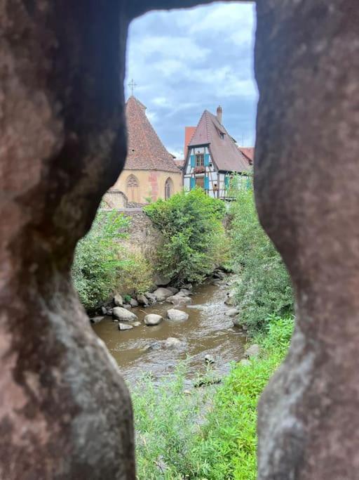 La Jolie Maison Bleue, Au Coeur De L'Alsace Kaysersberg-Vignoble Exterior foto