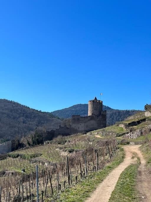 La Jolie Maison Bleue, Au Coeur De L'Alsace Kaysersberg-Vignoble Exterior foto